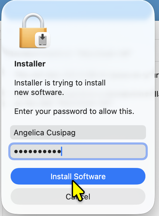 Enter password to install software