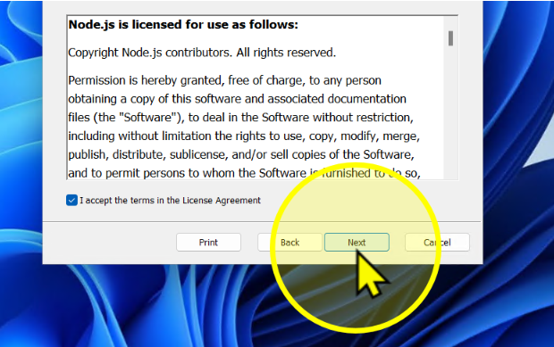 Click Next multiple times
