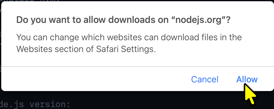 Allow the download prompt