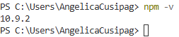 Check npm version in terminal